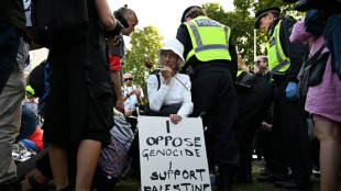 Cerca de 50 nuevos inculpados en Reino Unido por manifestar su apoyo a una organizaci&oacute;n propalestina prohibida