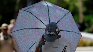 La reciente ola de calor fue la m&aacute;s intensa vivida en Espa&ntilde;a desde que hay registros