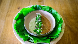 La Slov&eacute;nie, &eacute;toile montante de la gastronomie mondiale