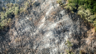 Alg&eacute;rie: incendie &eacute;teint pr&egrave;s de Blida