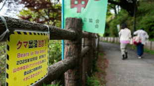 Jap&oacute;n confirma su primer ataque mortal de un oso en lo que va del a&ntilde;o