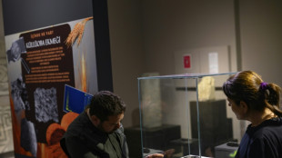 Turqu&iacute;a descubre y replica un pan de 5.000 a&ntilde;os de antig&uuml;edad