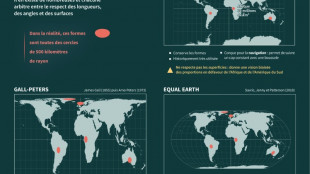 "Corrige la carte": initiative pour rendre &agrave; l'Afrique sa vraie taille sur la mappemonde