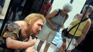 N&eacute;andertal et Homme moderne ont co-exist&eacute; en Europe sur plus de 2.000 ans 
