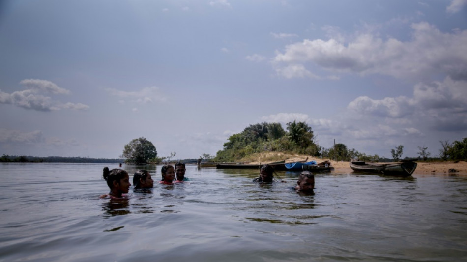Una nueva especie de pez, similar a la pira&ntilde;a, es descubierta en Brasil y recibe el nombre de "Sauron"