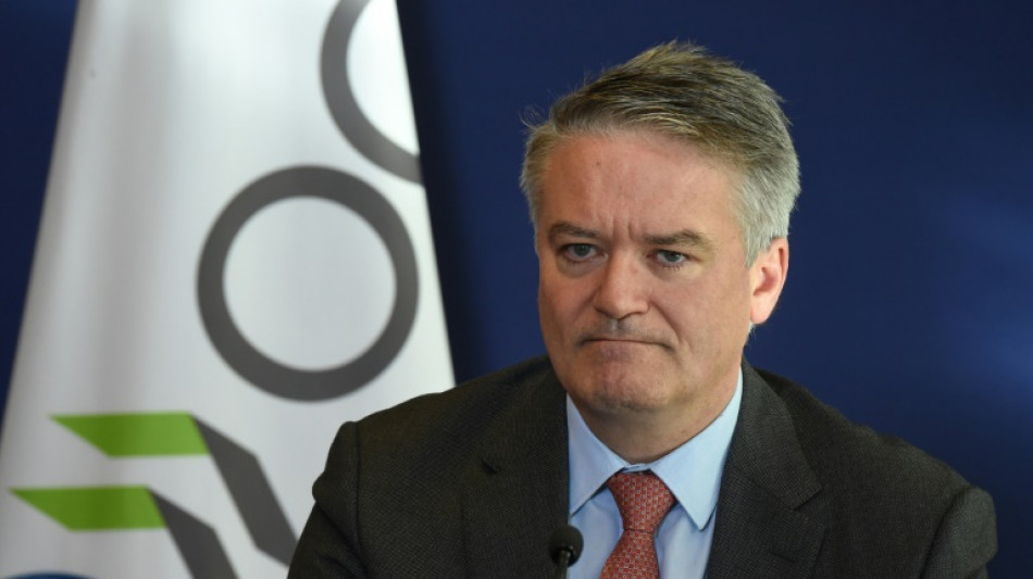 La OCDE defiende subir los impuestos a los grupos energ&eacute;ticos
