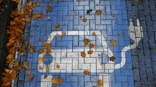 Elektromobilität: Bundesregierung beschließt "Masterplan" für Ladenetz