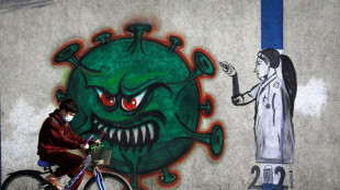 Inequality best predicts how nations handle pandemics: study