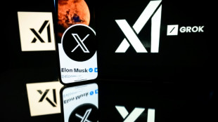 Hitler-Verherrlichung durch Chatbot Grok: Unternehmen von Musk entschuldigt sich