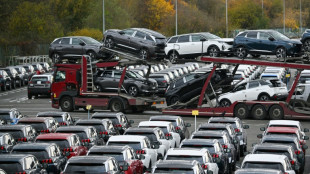 Léger coup de pouce du "leasing social" au marché automobile en France