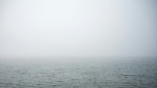 Vier junge Vogelbeobachter bei Nebel von Sandbank in Nordsee gerettet