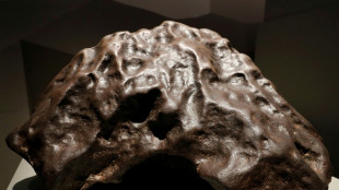 Des chercheurs reconstituent l'arbre g&eacute;n&eacute;alogique de m&eacute;t&eacute;orites