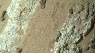 Des roches tachet&eacute;es offrent les plus s&eacute;rieux indices d'une ancienne forme de vie sur Mars