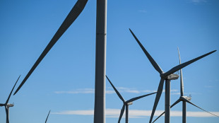 Pour protéger les oiseaux, la justice met à l'arrêt un deuxième parc éolien en trois jours