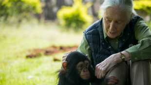 El &uacute;ltimo deseo de Jane Goodall: mandar a Trump, Musk, Putin, Xi y Netanyahu al espacio