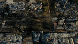 Les incendies de Los Angeles enti&egrave;rement ma&icirc;tris&eacute;s apr&egrave;s trois semaines