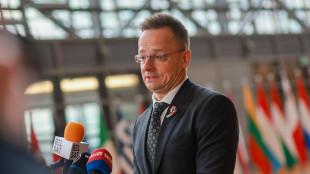 Ministro Ungheria ammette, 'contatti con Lavrov durante le riunioni Ue'