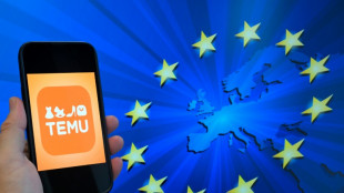 EU beschuldigt Billig-Onlineh&auml;ndler Temu des Verkaufs "illegaler" Produkte