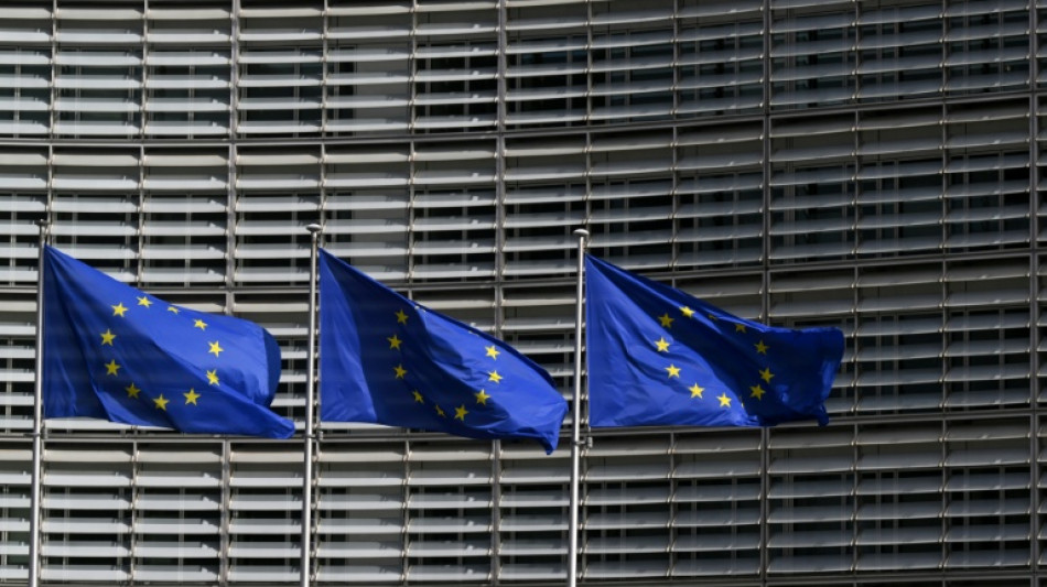 EU lawmakers want to tax Big Tech to fund budget