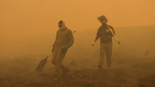 Durch Waldbrände schon mehr als eine Million Hektar in der EU verbrannt