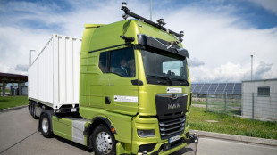 BGL-Chef warnt vor Mangel an Lkw-Fahrern bei Nato-B&uuml;ndnisfall
