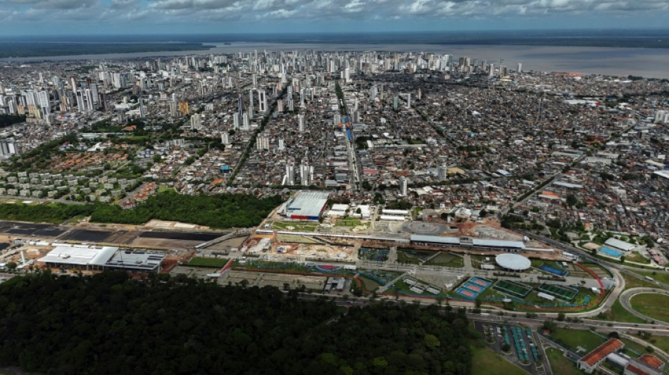 La COP br&eacute;silienne promettra moins et agira plus, dit son pr&eacute;sident &agrave; l'AFP