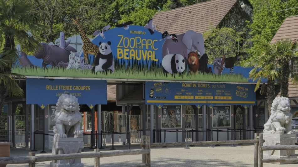 Apr&egrave;s les pandas, la Chine va pr&ecirc;ter des singes dor&eacute;s au ZooParc de Beauval