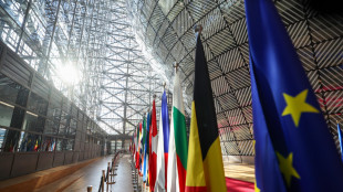 Presidenza Ue per il Bilancio propone 1.730 miliardi, 32,8 in meno di Commissione