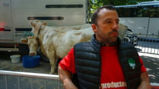 Accord UE-Mercosur: quel impact sur l'agriculture europ&eacute;enne ?