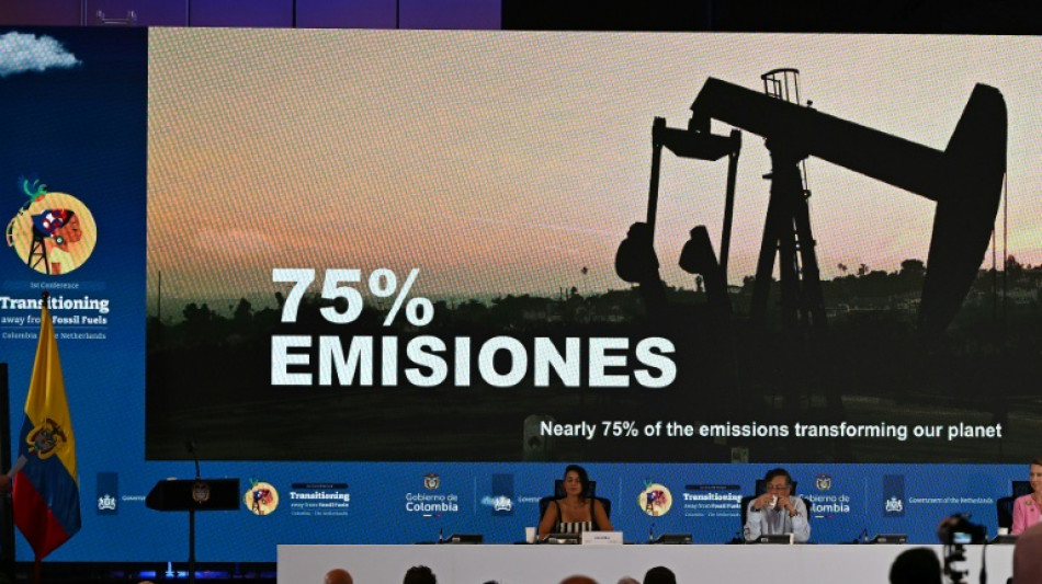 Deutschland: Konferenz in Santa Marta ist "Meilenstein" f&uuml;r Ausstieg aus fossilen Energien