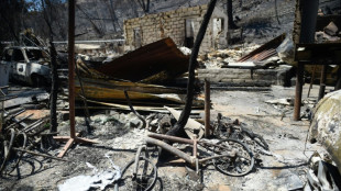 El mayor jardín botánico de Chile respira malherido tras los incendios