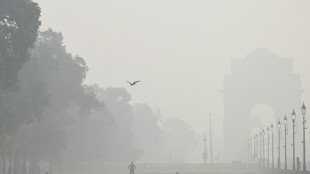 India fracasa en su intento de combatir la contaminaci&oacute;n con la "siembra de nubes"
