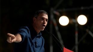 S&aacute;nchez promete "reforzar" el decreto de vivienda al lanzar su campa&ntilde;a en Espa&ntilde;a