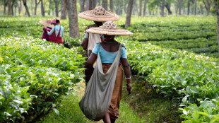 C&oacute;mo rocas trituradas pueden ayudar a combatir el cambio clim&aacute;tico