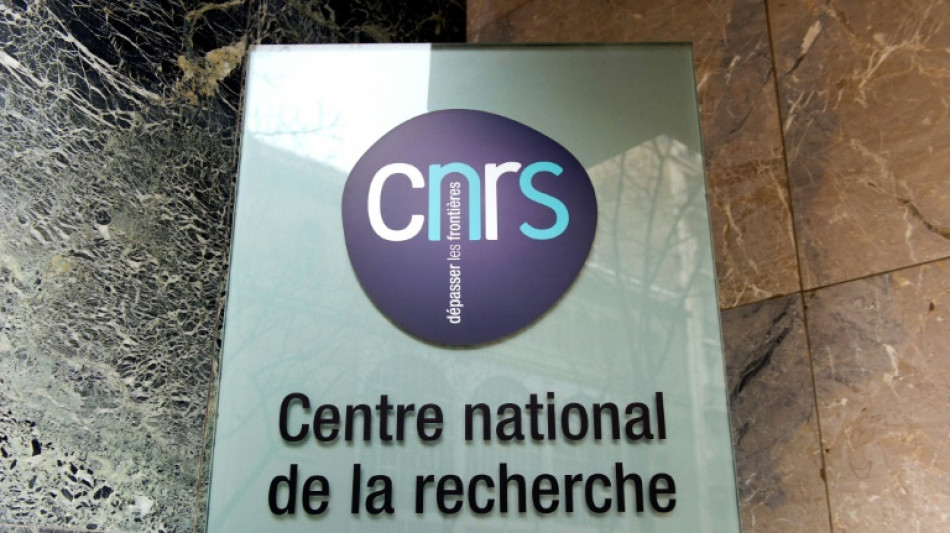 Un rapport recommande de revoir la place du CNRS dans la recherche fran&ccedil;aise  