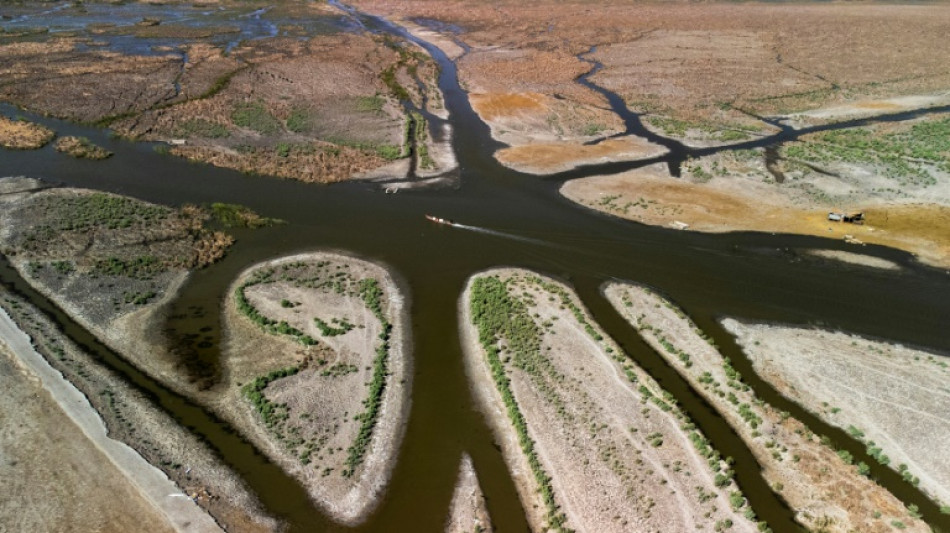En Irak, les marais du Sud s'ass&egrave;chent et une civilisation agonise