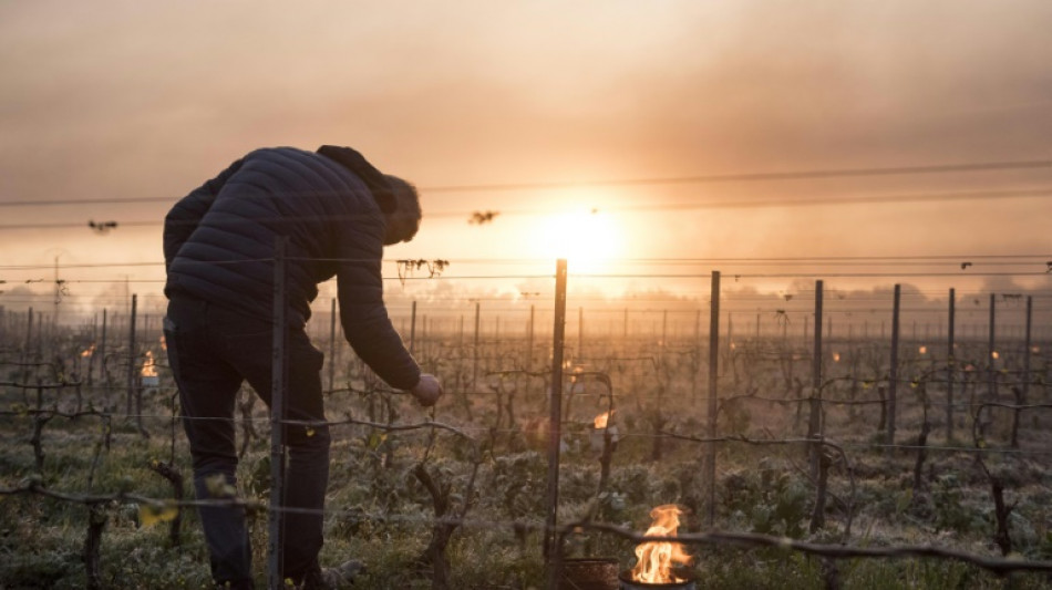 S&eacute;cheresse, gel, gr&ecirc;le... le Parlement adopte la r&eacute;forme de l'assurance r&eacute;colte