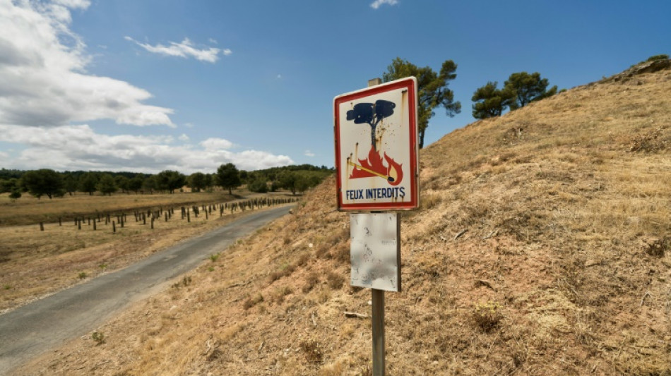 S&eacute;cheresse record en ao&ucirc;t en Europe et sur les c&ocirc;tes de la M&eacute;diterran&eacute;e