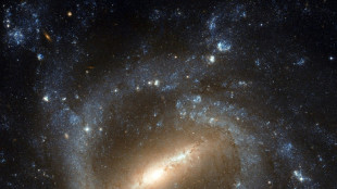 D&eacute;couverte d'une galaxie remarquable dans l'Univers jeune