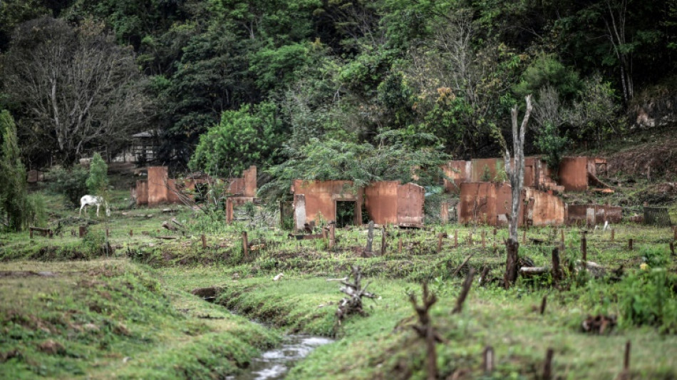Bergbau-Konzerne bieten Milliarden-Entsch&auml;digung wegen Dammbruch in Brasilien an