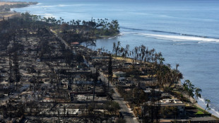 Haw&aacute;i anuncia un acuerdo de USD 4.000 millones en demandas por incendios forestales