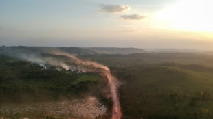 Piden a la UE que proh&iacute;ba importaciones de Brasil vinculadas a deforestaci&oacute;n