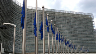 Deficit/Pil Eurozona 2024 cala a 3,1%, Italia decima in Ue