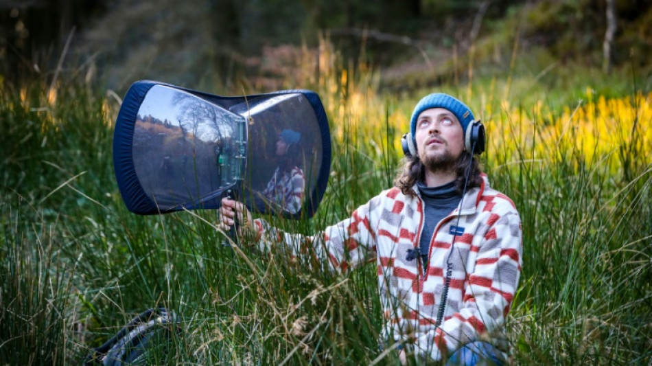 La mission d'un Irlandais : enregistrer les chants de toutes les esp&egrave;ces d'oiseaux