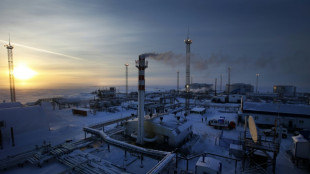 Le G7 vise la manne &eacute;nerg&eacute;tique russe en plafonnant le prix du p&eacute;trole