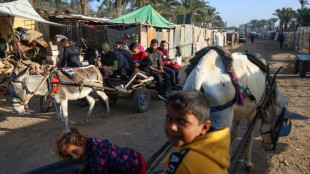 Les &acirc;nes de Gaza au secours des habitants pour survivre &agrave; la guerre