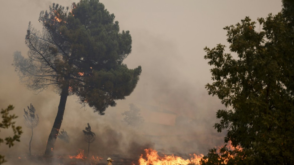 Au Portugal, les incendies font un troisième décès