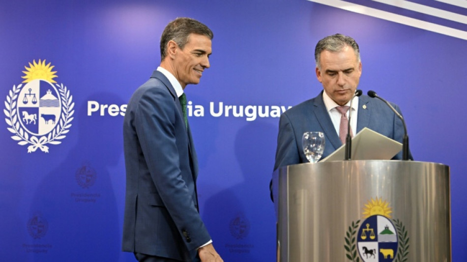 Sánchez destaca "necesidad imperiosa" de concretar acuerdo UE-Mercosur ante guerra comercial