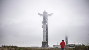 L'entreprise SpaceX d'Elon Musk reporte le lancement de sa m&eacute;gafus&eacute;e Starship