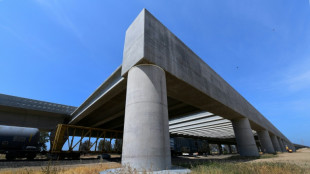 California demanda a la administración Trump por cancelar fondos al tren de alta velocidad